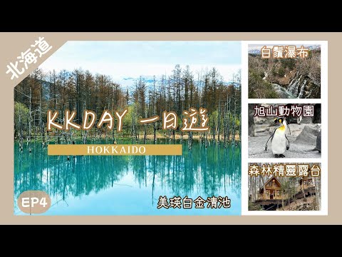 【北海道】參加KKDAY一日團 行程全分享｜📍旭山動物園📍美瑛白金青池📍白鬚瀑布📍森林精靈露台｜Nat Go Japan