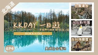 【北海道】參加KKDAY一日團 行程全分享｜📍旭山動物園📍美瑛白金青池📍白鬚瀑布📍森林精靈露台｜Nat Go Japan