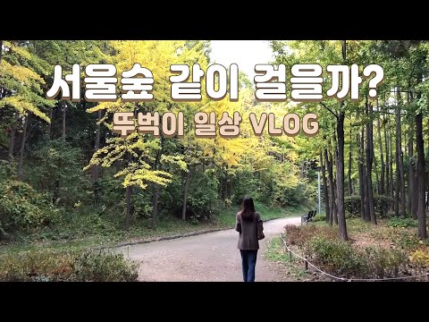 Reasons to Love Autumn, Seongsu-dong Walk in Peace