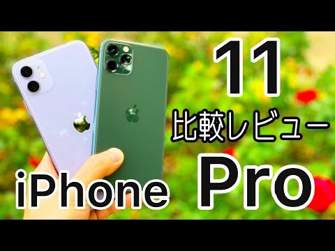 iPhone 11で十分⁈11 Proとの違い、カメラ、新AirDropなど比較レビュー！【4K60fps】