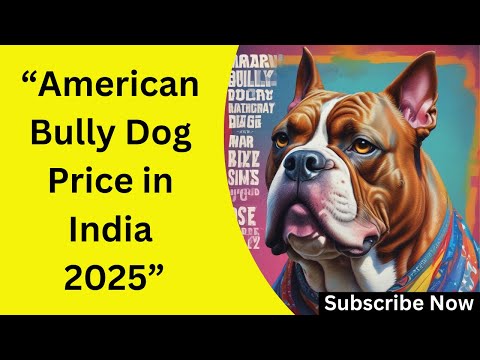 "American Bully Dog Price in India 2025: Complete Guide for Buyers"