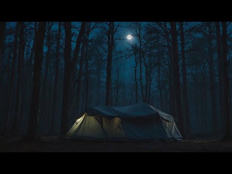 7 Most Scariest Camping Horror Stories | Scary Camping Stories | Scary Stories | With Rain Sounds