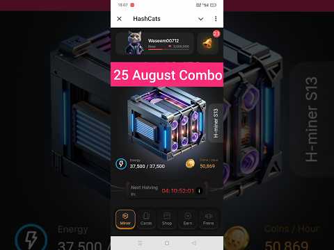 Hashcats combo today 25 august | hashcats staking cipher | hashcats code | hashcats daily combo