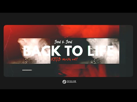 Soul 2 Soul - back to life 2024 (KROB Mash edit)