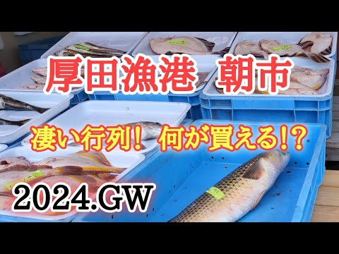 【北海道】GWの厚田港朝市🐟大行列で買える海産物☝️最新の朝市情報🤗