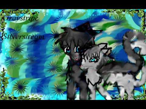 Graystripe and Silverstream!