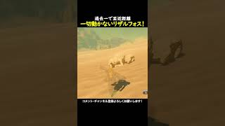 こんなに動かないことある！？微動だにしないリザルフォスｗ#ゼルダの伝説ブレスオブザワイルド  #ゲーム実況  #ゼル伝 #zelda #ゲーム #ブレワイ #ブレワイ 実況