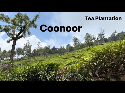 Coonoor Trip || Ooty to Coonoor Trip || Coonoor Vlog