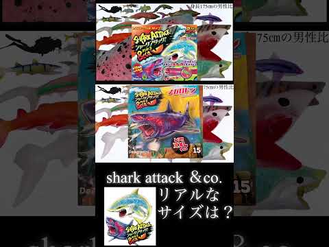 シャークアタック＆コーのリアルなサイズ感【shark attack ＆co.】メガロドン