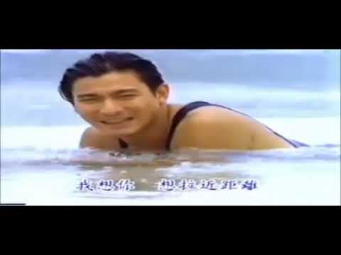 我愛你－劉德華