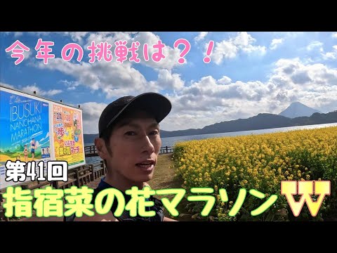 指宿菜の花マラソンで86ｋｍ走りました。