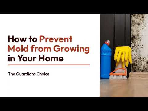 How to Prevent Mold from Growing in Your Home | The Guardian's Choice