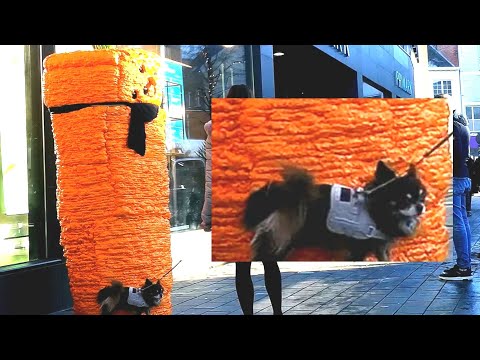 Don't Pee on The Carrot !! Angry Carrot Prank !!