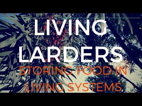 Living Larders - Perennial Living Food Stores