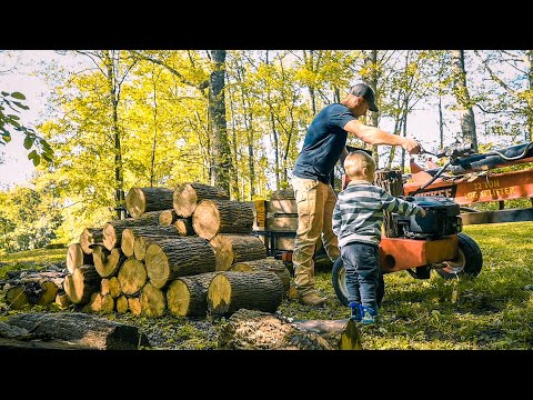 Splitting Firewood with my son