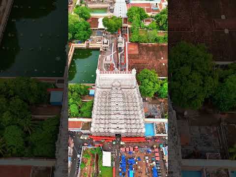 📍Arunachaleswara temple , tiruvannamalai #viral #travel #templediaries #viralvideo #shiva