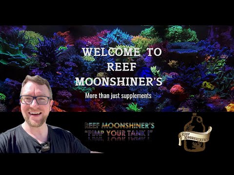 Reef Moonshiners - The Full Guide