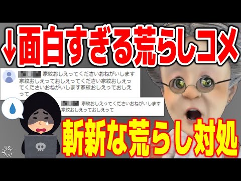 【不憫】すごく可哀想な荒らしさんが来た！【バーチャルおばあちゃん/VB/切り抜き】