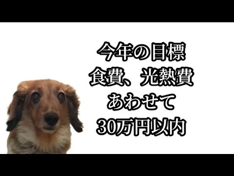 節約生活、ガスも解約！アラフォー貧困女の去年１年間の食費、光熱費発表！　今年の目標は、食費光熱費あわせて30万円以内！！！あなろぐいぬ雑談ラジオ