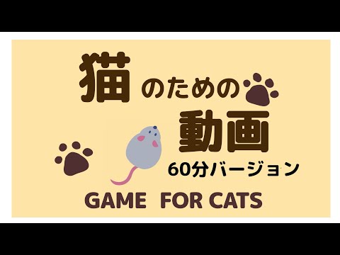 猫のための動画 60分