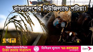 হেমন্তের ফসল তুলতে ব্যস্ত কৃষকরা | টেকনাফ থেকে তেঁতুলিয়া | Coxs Bazar | Documenmtary Of BD | EkhonTV