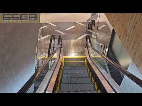 Aomori Station Building LOVINA Escalator 3F-1F Hitachi