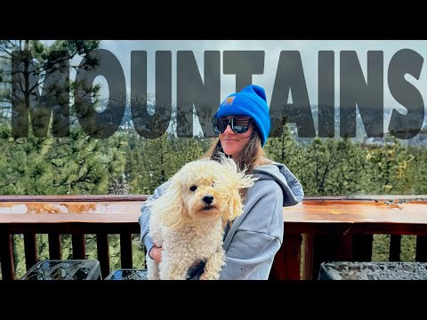 Are the vlogs BACK? Weekend Trip To Big Bear!