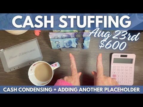 Cash Stuffing $600 (making a healthy debt payment)