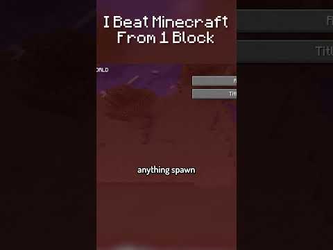 Part 2. I Beat Minecraft From 1 Block