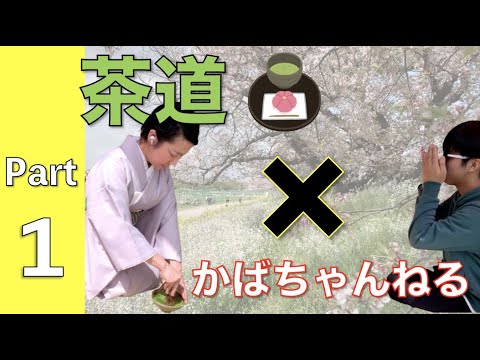 茶道(Japanese tea ceremony)Part①