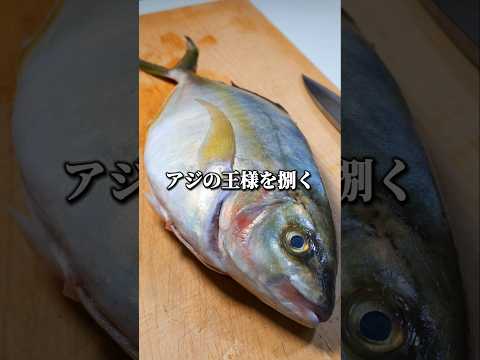 アジの王様「シマアジ」の三枚おろし　#捌き方 #魚