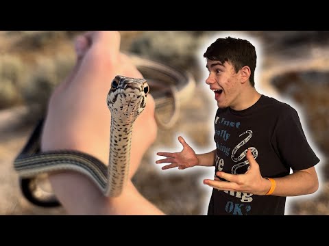 It took me OVER A YEAR to find this snake!