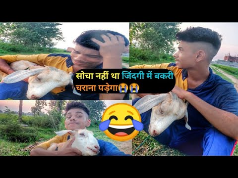 Socha nahin tha Jindagi Mein Bakri Charana Padega 😂😂! #funny #videos