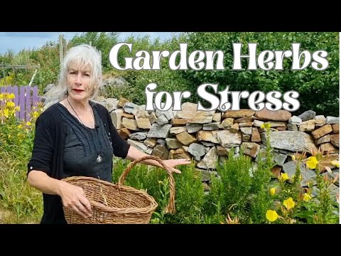 Garden Herbs for Stress