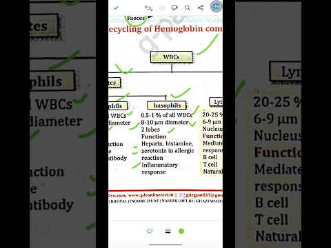 blood | human anatomy and physiology | B/Dpharmacy #dsssb #esic #exam #pharmacist #pharmajo