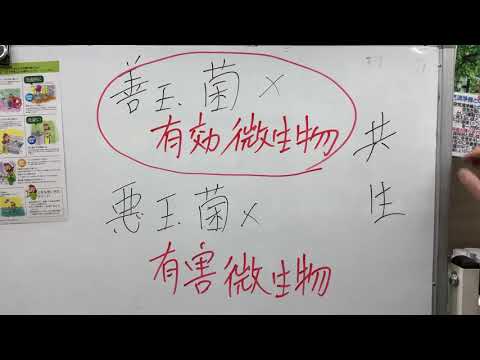 有効有効微生物群『アーゼロン』って何？