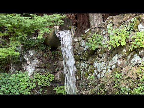 夏休み家族旅行(3日目、最終日)240810