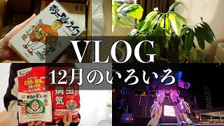 【VLOG】今年もありがとうございました【色々開封】