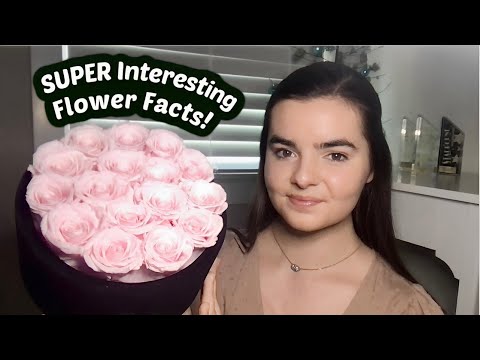 ASMR Whispering FASCINATING Facts About Flowers | ft. Rose Forever!