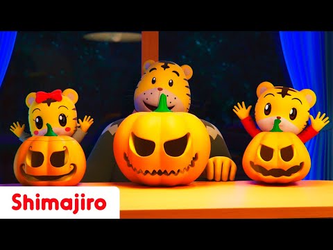 Jack-o'-Lantern pumpkins! | Happy Halloween with Shimajiro | Kids songs & Nursery Rhymes