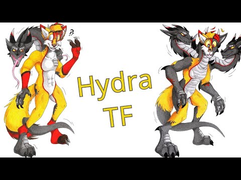 Hydra Transformation / Hydra TFTG