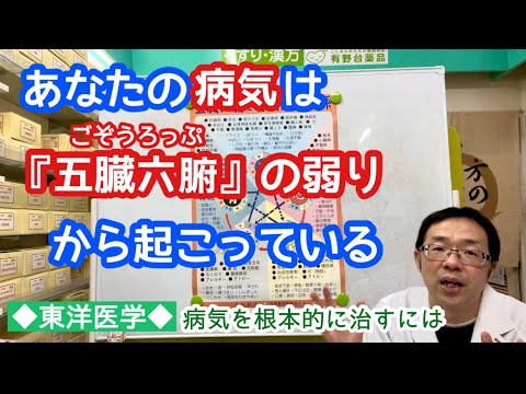 あなたの病気は「五臓六腑の弱り」から起こっている 【東洋医学】【漢方】