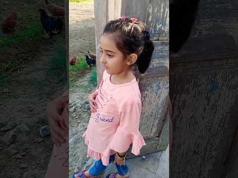 kabay ki ronaq kabay ka manzar #foryou #ilovemypakistan #shortsviral #viralvideos