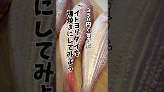 ど素人への課題①【イトヨリダイ塩焼き】買ったイトヨリダイを塩焼きにしてみよう🐟 #魚の捌き方  #魚の調理法  #イトヨリダイ #イトヨリダイ塩焼き #料理 #レシピ