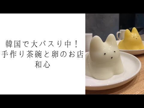 【川越】韓国で大バスり中！話題の猫プリン揺らしてみた