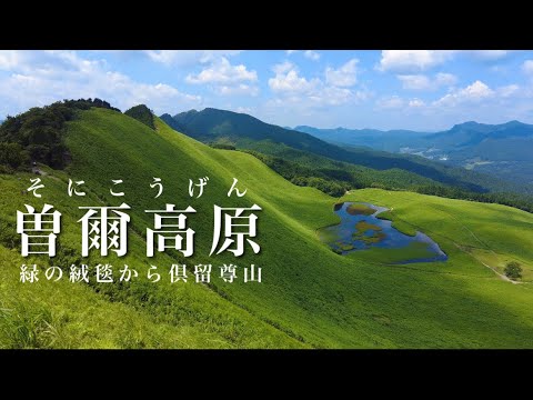 【緑の絨毯】曽爾高原 ため息、夏の草原から日本三百名山の倶留尊山まで歩いてきました