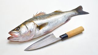 関孫六 出刃包丁で鱸（スズキ）を捌く Filleting Fish