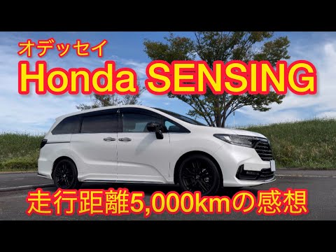 Honda SENSINGの感想「満足です」走行距離5,000kmを超えたオーナーが感じたことを発信。【新型オデッセイ】