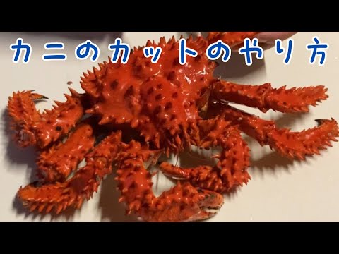 カニの美味しいカットのやり方