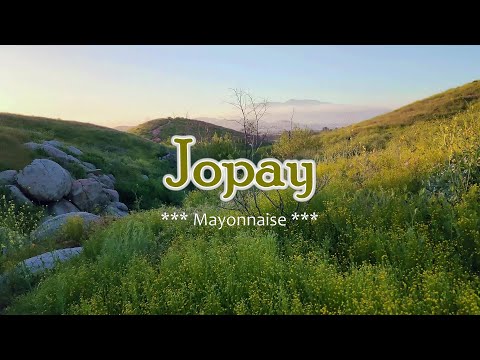 JOPAY - (Karaoke Version) - in the style of Mayonnaise